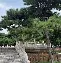 北京风林豪胜劲敌，晋级亚洲巅峰赛